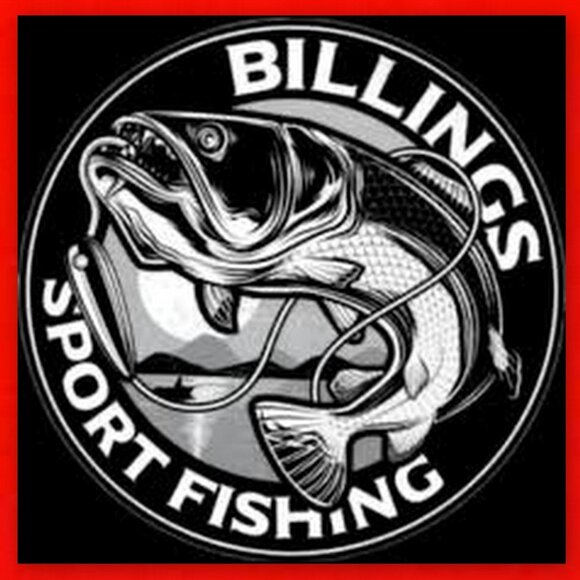 Brand New Billings Premium Brand Model HC5000 Fishing Reel! - Picture 13 of 16